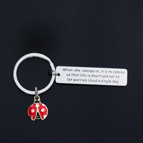 سلسلة مفاتيح بتصميم الدعسوقة من فالافو، افكار هدايا فريدة للنساء والبنات والرجال والسيدات ومحبي الحشرات، سلسلة مفاتيح ملهمة من الستانلس ستيل, ستانلس ستيل in Kuwait