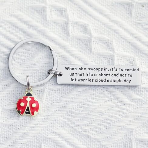 سلسلة مفاتيح بتصميم الدعسوقة من فالافو، افكار هدايا فريدة للنساء والبنات والرجال والسيدات ومحبي الحشرات، سلسلة مفاتيح ملهمة من الستانلس ستيل, ستانلس ستيل in Kuwait