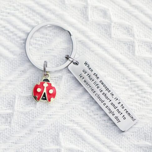 سلسلة مفاتيح بتصميم الدعسوقة من فالافو، افكار هدايا فريدة للنساء والبنات والرجال والسيدات ومحبي الحشرات، سلسلة مفاتيح ملهمة من الستانلس ستيل, ستانلس ستيل in Kuwait