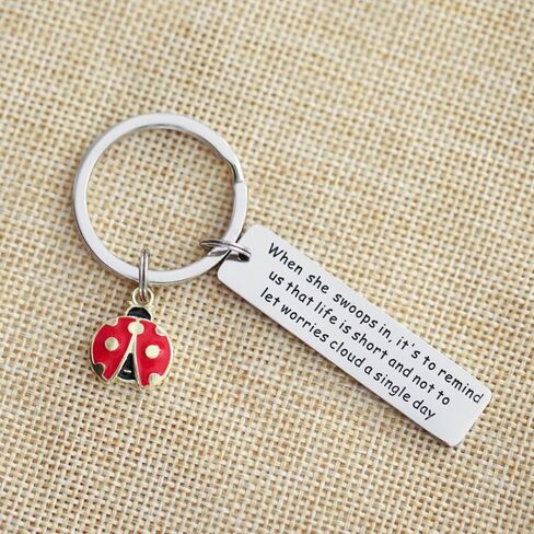 سلسلة مفاتيح بتصميم الدعسوقة من فالافو، افكار هدايا فريدة للنساء والبنات والرجال والسيدات ومحبي الحشرات، سلسلة مفاتيح ملهمة من الستانلس ستيل, ستانلس ستيل in Kuwait