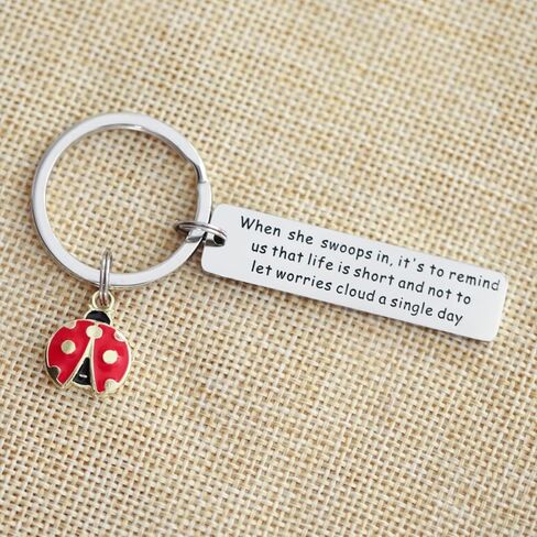 سلسلة مفاتيح بتصميم الدعسوقة من فالافو، افكار هدايا فريدة للنساء والبنات والرجال والسيدات ومحبي الحشرات، سلسلة مفاتيح ملهمة من الستانلس ستيل, ستانلس ستيل in Kuwait