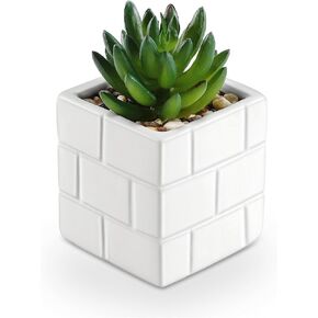 WOODWORD Fake Succulents Plants Artificial with Modernist Pattern White Ceramic Pot for Bathroom Bedroom Home Office Desk Shower Decor Aesthetic Indoor - Set of 1