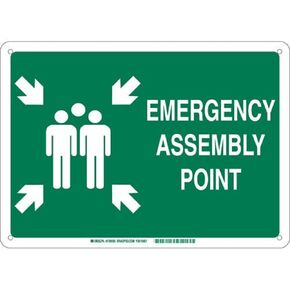 Brady 139601 Aluminum "EMERGENCY ASSEMBLY POINT" Sign, Text and Symbol, 10" H x 14" W, White on Green