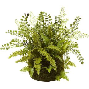 Nearly Natural Mixed Fern with Twig and Moss Basket
