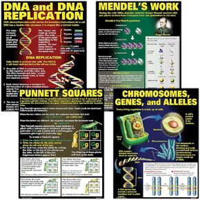 McDonald Publishing DNA & Heredity Poster Set (P128) 17 x 22 Inch