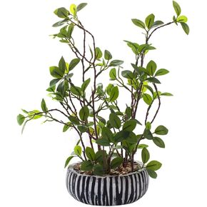 AlphaAcc 12 inch Artificial Potted Plants Indoor Office Desk Fiddle Leaf Fig Plant Plant Realistic Small Fake Farmhouse Plants for Home Kitchen Bathroom Bedroom Decor