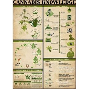 ديكور معدني لجدار الحمام المعرفة القنب معدن القصدير تسجيل خمر الديكور المرآب المنزل حديقة المقاهي المطبخ جدار العتيقة القصدير علامات 8x12 بوصة in Kuwait