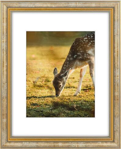 Space Art Deco, 11x14 Ornate Picture Frame for 8x10 Photo with White Mat, High Definition Real Glass for Wall Mounting (Vintage Gold, 1 Pack) in Saudi Arabia