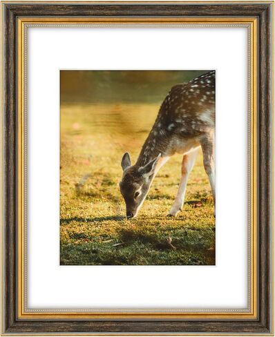 Space Art Deco, 11x14 Ornate Picture Frame for 8x10 Photo with White Mat, High Definition Real Glass for Wall Mounting (Vintage Gold, 1 Pack) in Saudi Arabia
