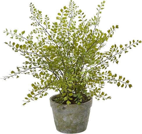 Nearly Natural 4251 Maiden Hair Artificial Plant in Planter Green Small in Saudi Arabia