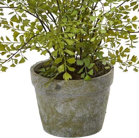 Nearly Natural 4251 Maiden Hair Artificial Plant in Planter Green Small in Saudi Arabia