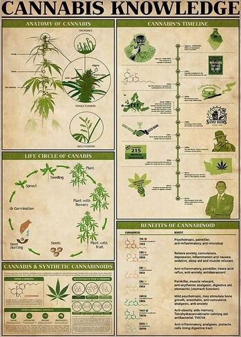 ديكور معدني لجدار الحمام المعرفة القنب معدن القصدير تسجيل خمر الديكور المرآب المنزل حديقة المقاهي المطبخ جدار العتيقة القصدير علامات 8x12 بوصة in Kuwait