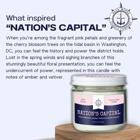 Cotton Wick Candle - Handmade by Veterans with Coconut Wax & Essential Oils, 50 Hour Burn Time (Windward Scent, 9 oz) in Saudi Arabia