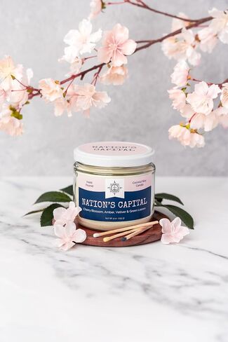 Cotton Wick Candle - Handmade by Veterans with Coconut Wax & Essential Oils, 50 Hour Burn Time (Windward Scent, 9 oz) in Saudi Arabia