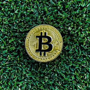 Bitcoin Golf Ball Marker - Northern Kings Golf