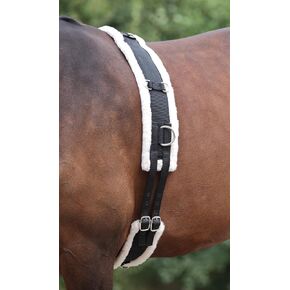 Shires Equestrian Nylon Lunging Roller with Fleece Padding