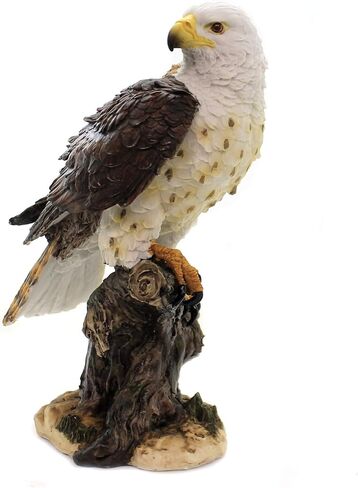 Pacific Giftware Wildlife Red Tailed Hawk Eagle Birds of Prey Figurine Statue 10 Inch in Saudi Arabia