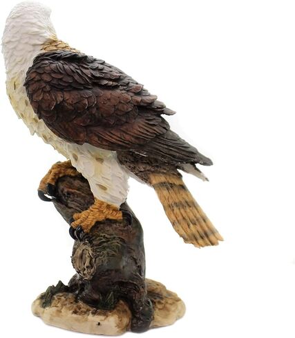 Pacific Giftware Wildlife Red Tailed Hawk Eagle Birds of Prey Figurine Statue 10 Inch in Saudi Arabia