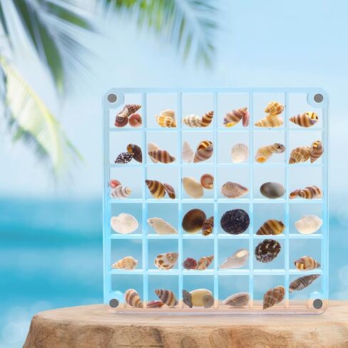 Acrylic Seashell Display Box, Transparent Acrylic Small Craft Organizers 36 Grids Seashell Storage Box for Seashell Diamond Beads(0.59 Inch Grid) in Kuwait