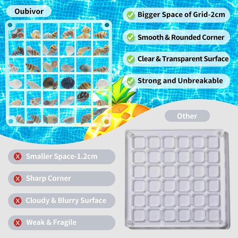 Acrylic Seashell Display Box, Transparent Acrylic Small Craft Organizers 36 Grids Seashell Storage Box for Seashell Diamond Beads(0.59 Inch Grid) in Kuwait