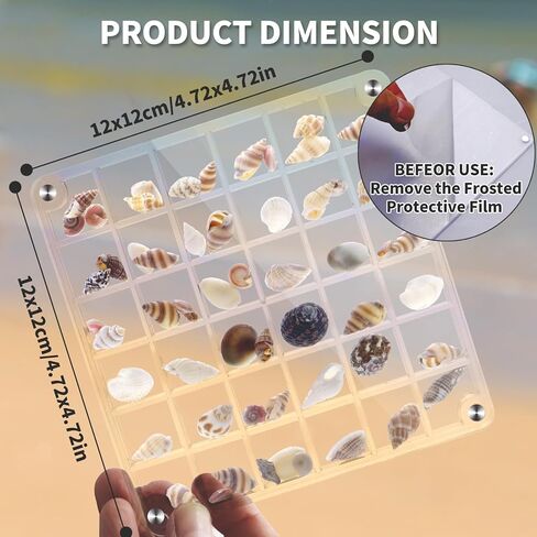 Acrylic Seashell Display Box, Transparent Acrylic Small Craft Organizers 36 Grids Seashell Storage Box for Seashell Diamond Beads(0.59 Inch Grid) in Kuwait