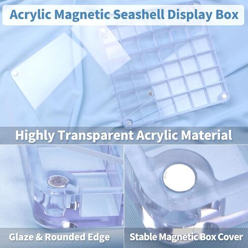 Acrylic Seashell Display Box, Transparent Acrylic Small Craft Organizers 36 Grids Seashell Storage Box for Seashell Diamond Beads(0.59 Inch Grid) in Kuwait