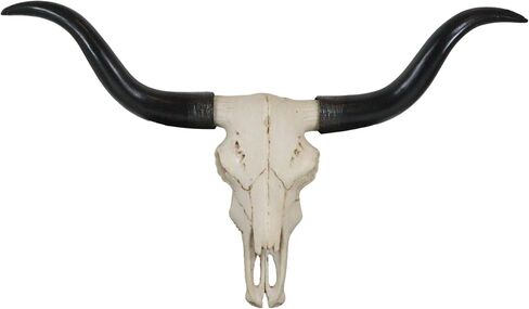 Ebros Gift Texas Longhorn Steer Cattle Cow Skull Wall Mounted Hanging Plaque Figurine 21" Wide As Rustic Cabin Lodge Gothic Macabre Decor Of Cows Skulls Skeletons Hunters Outdoorsmen Trophy Statue in Saudi Arabia