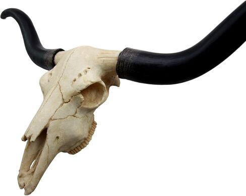 Ebros Gift Texas Longhorn Steer Cattle Cow Skull Wall Mounted Hanging Plaque Figurine 21" Wide As Rustic Cabin Lodge Gothic Macabre Decor Of Cows Skulls Skeletons Hunters Outdoorsmen Trophy Statue in Saudi Arabia