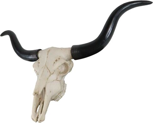 Ebros Gift Texas Longhorn Steer Cattle Cow Skull Wall Mounted Hanging Plaque Figurine 21" Wide As Rustic Cabin Lodge Gothic Macabre Decor Of Cows Skulls Skeletons Hunters Outdoorsmen Trophy Statue in Saudi Arabia