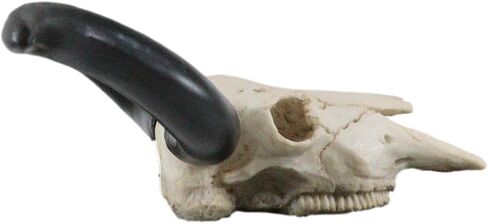 Ebros Gift Texas Longhorn Steer Cattle Cow Skull Wall Mounted Hanging Plaque Figurine 21" Wide As Rustic Cabin Lodge Gothic Macabre Decor Of Cows Skulls Skeletons Hunters Outdoorsmen Trophy Statue in Saudi Arabia