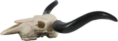 Ebros Gift Texas Longhorn Steer Cattle Cow Skull Wall Mounted Hanging Plaque Figurine 21" Wide As Rustic Cabin Lodge Gothic Macabre Decor Of Cows Skulls Skeletons Hunters Outdoorsmen Trophy Statue in Saudi Arabia