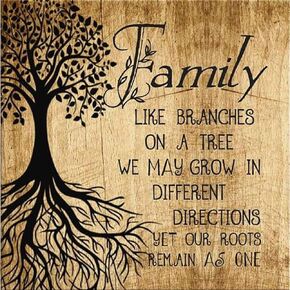 Family Like Branches On A Tree Vintage Tin Sign Home Wall Decor Art Room for Home Office Bedroom Living Metal Funny Decoration Housewarming Gift 12"x 12"