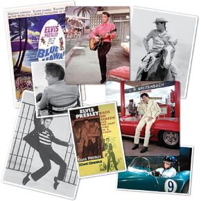 Desert Cactus Elvis Presley Stickers Sheet Vinyl Decal Crew Laptop Water Bottle Car Scrapbook (Type 2) (Version 6)