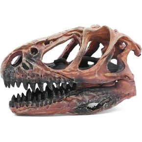 Dinosaur Skull Décor T-Rex Skeleton Decoration Figures Reptile Terrarium Tank Hideout Tyrannosaurus Fossil Bones Head Decor Model Snake Display Statue