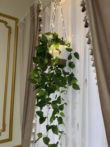 Fake Hanging Plants with Lights 2 Pack Artificial Plants for Home Decor Indoor Plant Hanger with Fake Vines Hanging Planter Basket for Wall Ceiling Bedroom Bathroom Kitchen Office Boho Decor (IVY) in Saudi Arabia