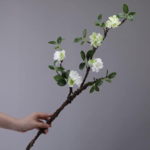 WEISPARK Artificial Flowers, 2pcs Fake Cherry Blossom Branches 31 Inch Long Stem Silk Flowers for DIY Vase Home Hotel Office Wedding Party Garden Decor (Champagne) in Saudi Arabia