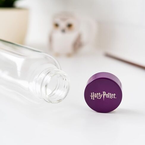 Grupo Erik Harry Potter Glass Water Bottle - 500ml / 17oz - Glass Bottle - Hot&Cold Water Bottle - Water Bottle 500ml - Harry Potter Water Bottle - Harry Potter Merchandise - Harry Potter Gifts in Saudi Arabia