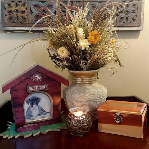 Fan Creations San Francisco 49ers Dog House Picture Frame NFL 3D Decorative Tabletop Photo Holder - Celebrate Best Friend & Team - Holds 3.5x3.75 Print - For Home, Office, Dorm in Saudi Arabia