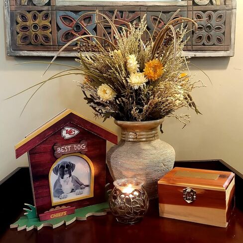Fan Creations San Francisco 49ers Dog House Picture Frame NFL 3D Decorative Tabletop Photo Holder - Celebrate Best Friend & Team - Holds 3.5x3.75 Print - For Home, Office, Dorm in Saudi Arabia