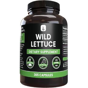 PURE ORIGINAL INGREDIENTS Wild Lettuce (365 Capsules) No Magnesium Or Rice Fillers, Always Pure, Lab Verified