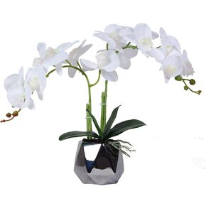 W&W Artificial Orchid Plants & Flowers Arrangement in Ceramic Pot, Fake Faux White Orchid with Gold Vase, Realistic Phalaenopsis Orchids for Home Decor Indoor
