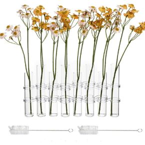 8PCS Test Tube Vases Decorative Glass Flower Vase Hinged Flower Vases Planter Flower Arranging Container Hydroponic Flower Holder Decor with 15PCS Hooks and 2PCS Brushes (VASES- A)