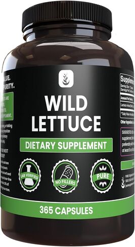 PURE ORIGINAL INGREDIENTS Wild Lettuce (365 Capsules) No Magnesium Or Rice Fillers, Always Pure, Lab Verified in Saudi Arabia