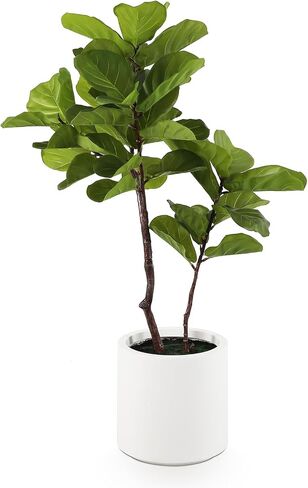 Leaf Fig Tree, Premium Artificial Indoor Plant Stands 4TF Tall, Lifelike-Leaves & Hand Painted Trunk Faux-Fiddle Leaf Fig Tree Appearance, White Planter Pot Included in Saudi Arabia