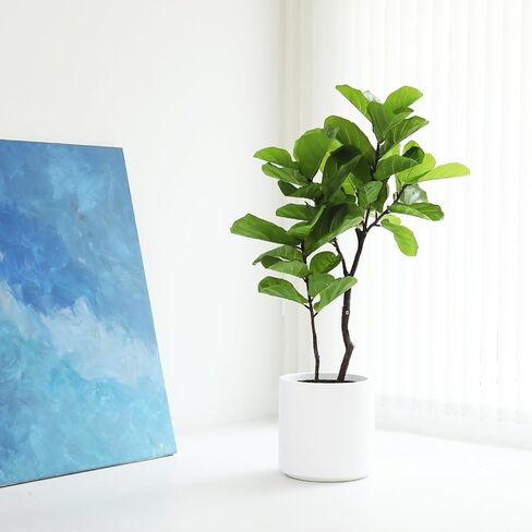 Leaf Fig Tree, Premium Artificial Indoor Plant Stands 4TF Tall, Lifelike-Leaves & Hand Painted Trunk Faux-Fiddle Leaf Fig Tree Appearance, White Planter Pot Included in Saudi Arabia