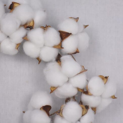 BESTOYARD Home Decor Home Decor Outdoor Decor of 2 10inch Real Cotton Cotton Decor Farmhouse Decor for The Home Front Door Decor Wreath Mini Small Home Decor Outdoor Decor Outdoor Decor in Saudi Arabia