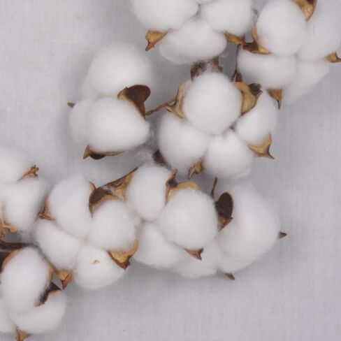 BESTOYARD Home Decor Home Decor Outdoor Decor of 2 10inch Real Cotton Cotton Decor Farmhouse Decor for The Home Front Door Decor Wreath Mini Small Home Decor Outdoor Decor Outdoor Decor in Saudi Arabia