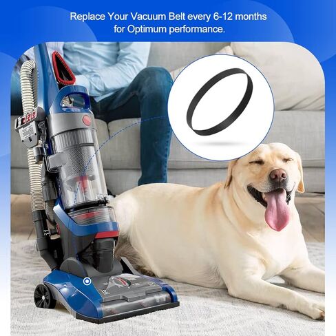 أحزمة مكنسة كهربائية LANMU 562289001 لموديلات مكنسة كهربائية Hoover Windtunnel UH71250 UH70120، استبدال الجزء AH20065 (عبوتان) in Kuwait