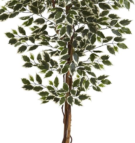 Nearly Natural 6ft. Hawaiian Ficus Tree in Kuwait