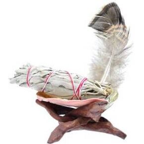 Azure Green RSMSK White Sage Kit Smudge